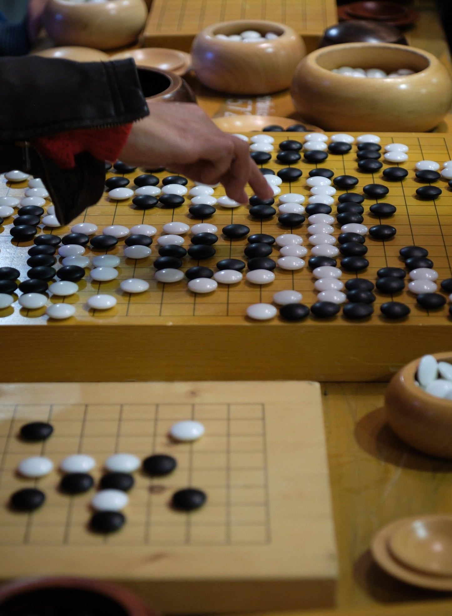 Tsukimi-Fest 2024