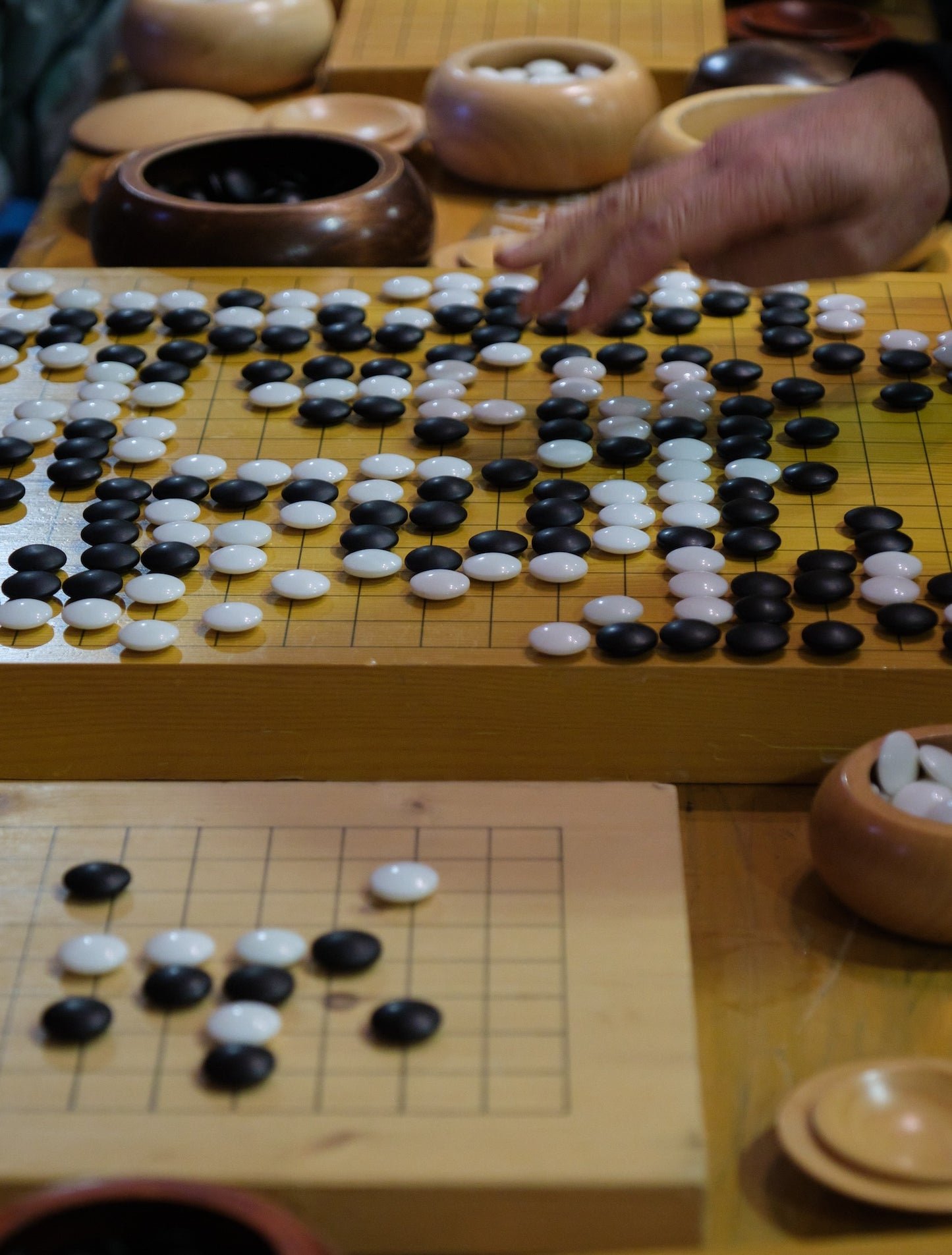 Tsukimi-Fest 2024