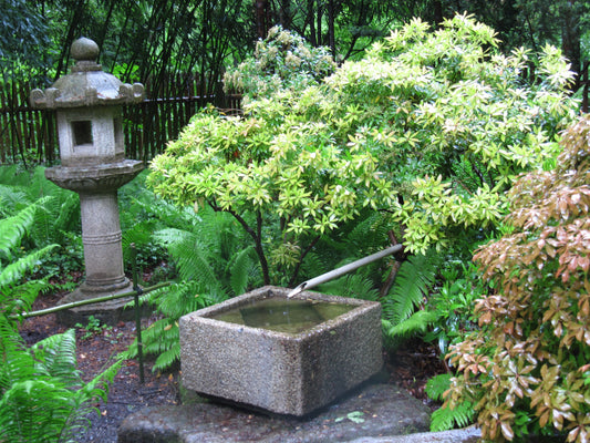 Haiku | Kaihō Sep./Okt. 2025