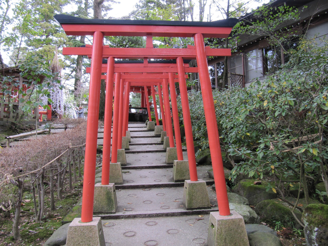 Haiku - Kaiho Januar/Februar 2026