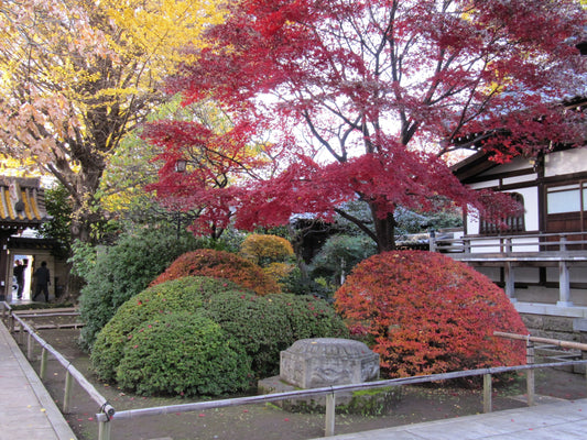 Kaihō Nov./Dez. 2025, Japanischer Gesprächskreis（要旨）