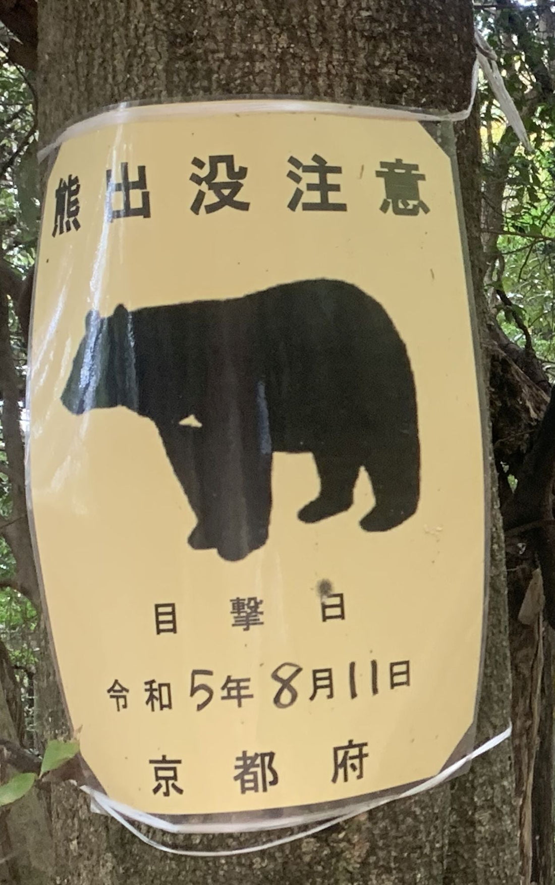 Bären in Japan (kuma 熊)