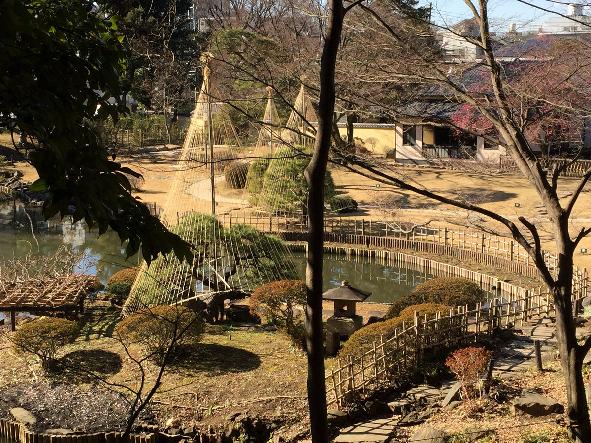 Japanischer Gesprächskreis Dez. 2027 話す会 2027年1月