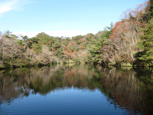 Haiku-Seminar von Prof. Aoki (März 2026), 青木亮人教授の俳句セミナー