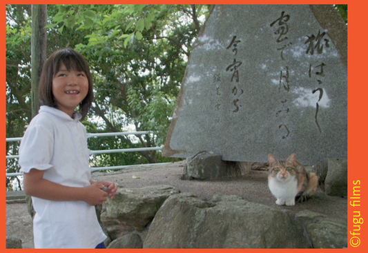 DJG-Filmreihe: Die Katzen vom Gokōgū-Schrein 五香宮の猫 | Japanische Filmreihe
