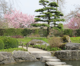 Online Haiku Treffen